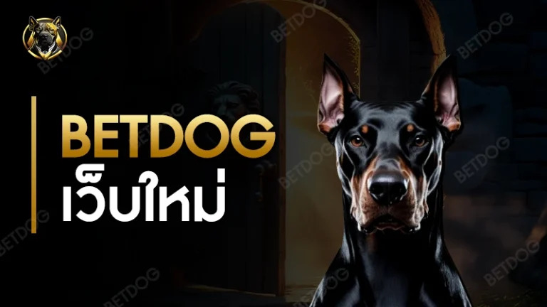 BETDOG เว็บใหม่