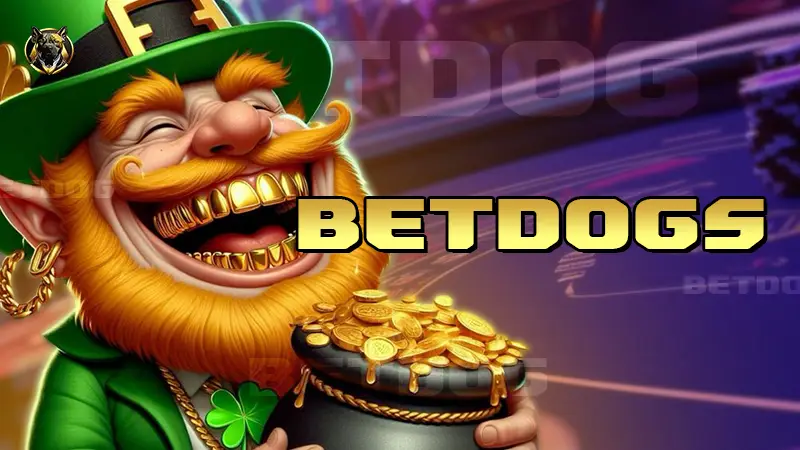 Betdogs