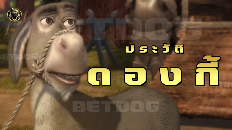 ประวัติ ดองกี้