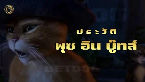 ประวัติ พุซอินบู๊ทส์