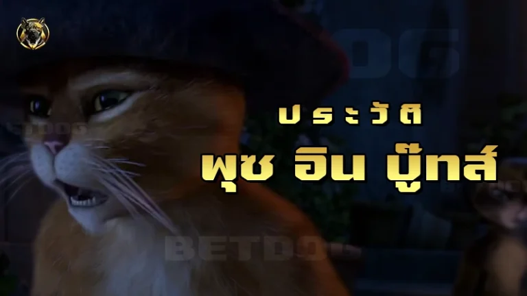 ประวัติ พุซอินบู๊ทส์