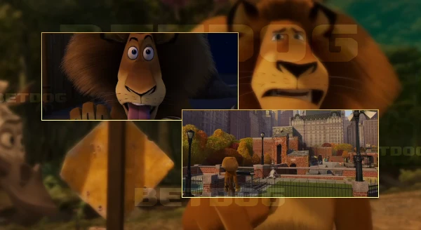 ประวัติ อเล็กซ์