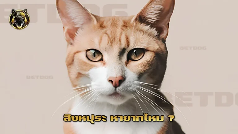 สิงหปุระ หายากไหม