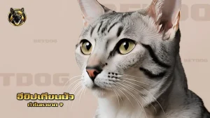 อียิปเทียนมัว ทำไมหายาก