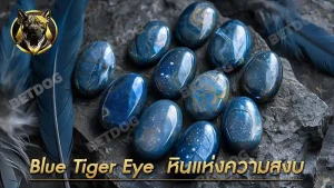 Blue Tiger Eye หินแห่งความสงบ