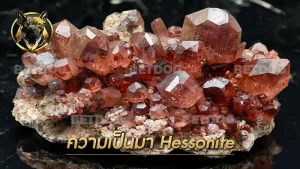 ความเป็นมา Hessonite