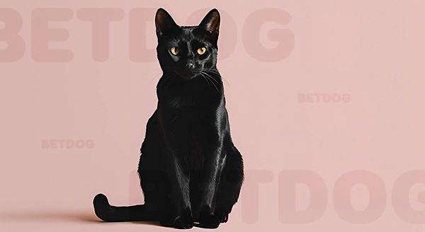 นิสัย แมวบอมเบย์