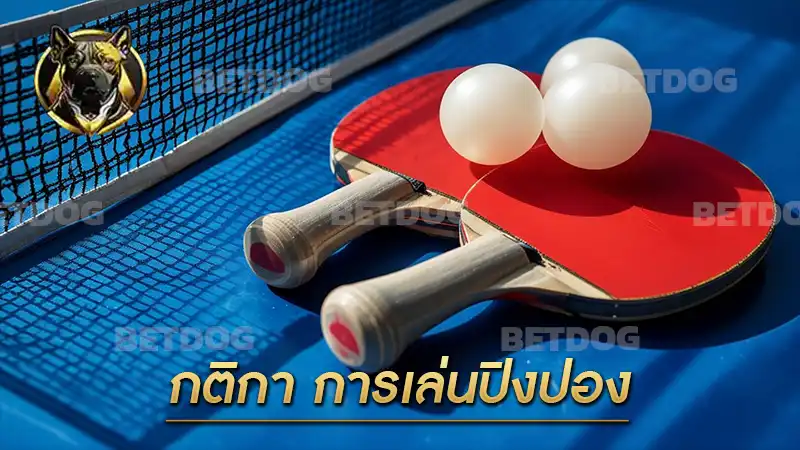 กติกา การเล่นปิงปอง