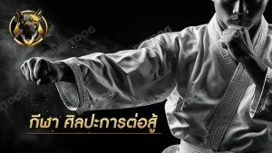 กีฬา ศิลปะการต่อสู้