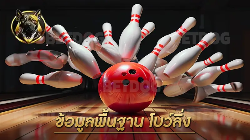 ข้อมูลพื้นฐาน โบว์ลิ่ง