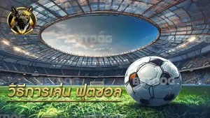 วิธีการเล่น ฟุตซอล