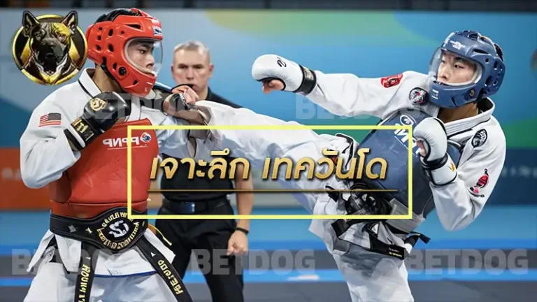 เจาะลึก เทควันโด