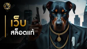 เว็บสล็อตแท้