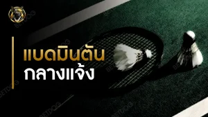 แบดมินตัน กลางแจ้ง