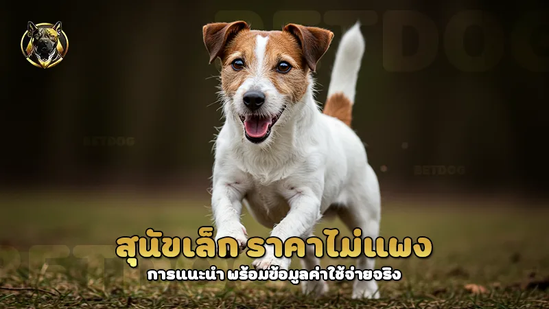 สุนัขเล็ก ราคาไม่แพง