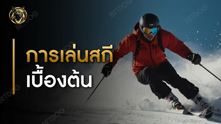 การเล่นสกี เบื้องต้น