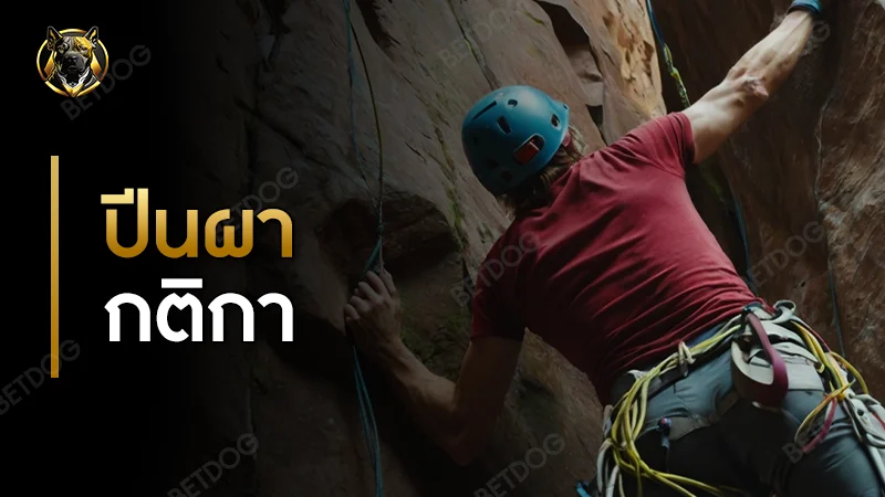 กีฬาปีนผา กติกา