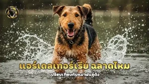 แอร์เดลเทอร์เรีย ฉลาดไหม