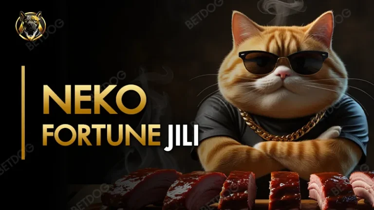 neko fortune jili