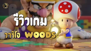 รีวิวเกม วาริโอ Woods