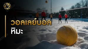 วอลเลย์บอลหิมะ กติกา