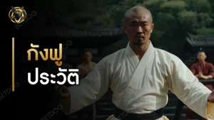 กังฟู ประวัติ