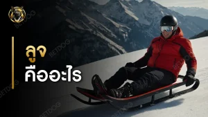 ลูจ คืออะไร