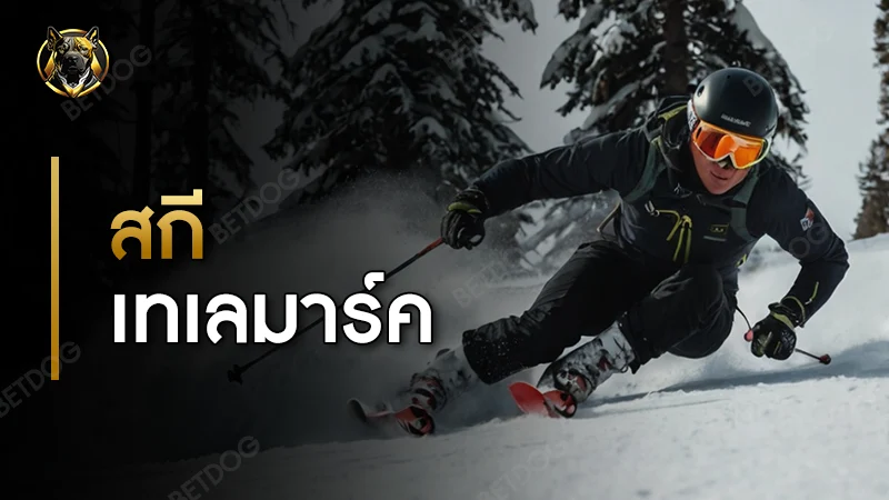 สกีเทเลมาร์ค กติกา