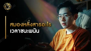 สมองหลั่งสารอะไร เวลาชนะพนัน