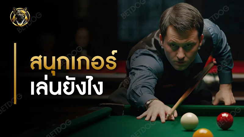 สนุกเกอร์ เล่นยังไง