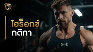 ไฮร็อกซ์ กติกา