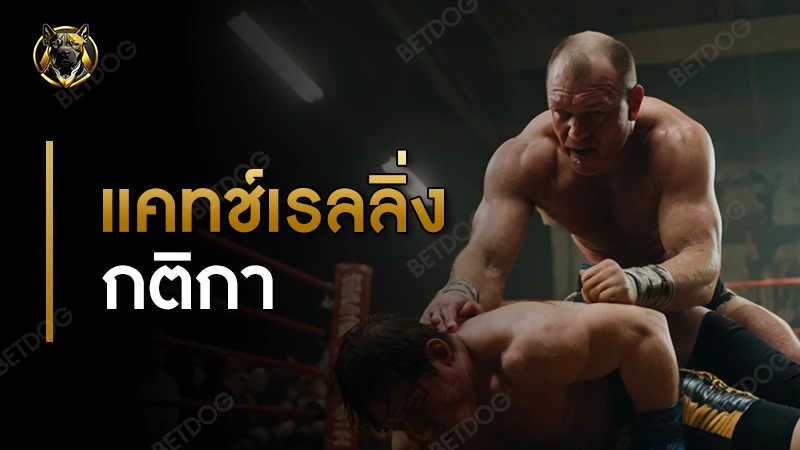 แคทช์เรลลิ่ง กติกา