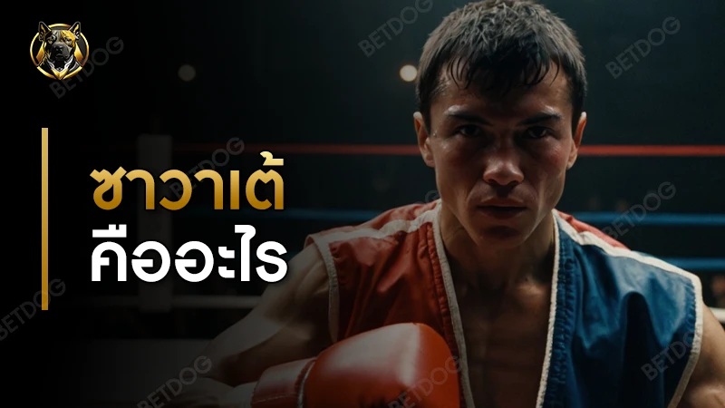 ซาวาเต้ คืออะไร