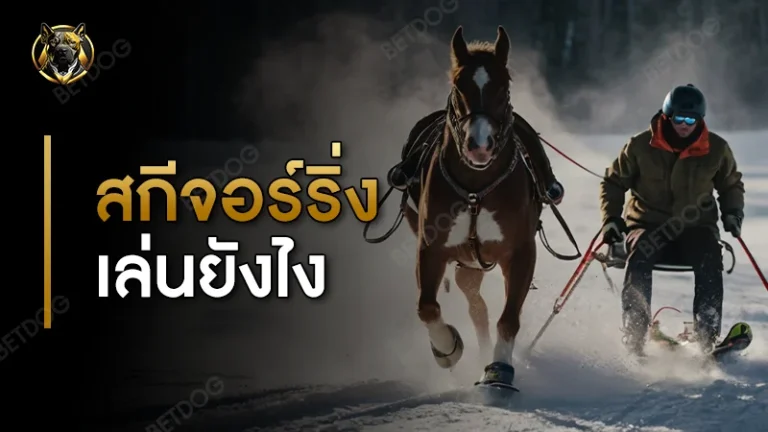 สกีจอร์ริ่ง เล่นยังไง