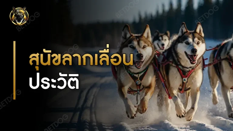 สุนัขลากเลื่อน ประวัติ