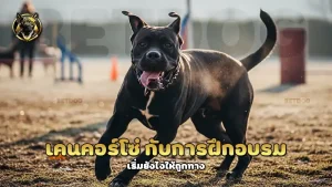 เคนคอร์โซ่ กับการฝึกอบรม