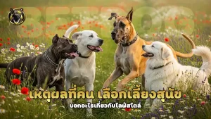 เหตุผลที่คน เลือกเลี้ยงสุนัข