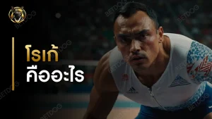 โรเก้ คืออะไร