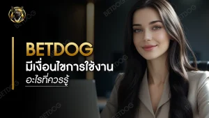 betdog มีเงื่อนไขการใช้งานอะไรที่ควรรู้