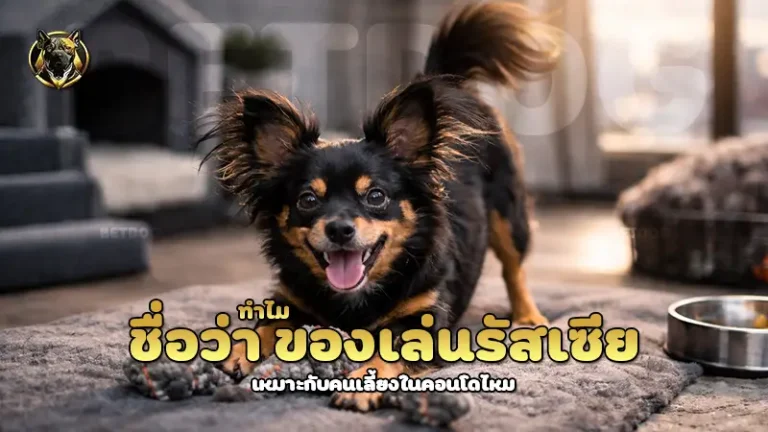 ทำไม ชื่อว่า ของเล่นรัสเซีย