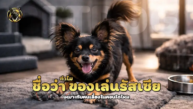 ทำไม ชื่อว่า ของเล่นรัสเซีย