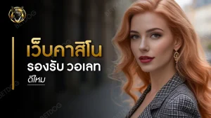 เว็บคาสิโน รองรับ วอเลท ดีไหม
